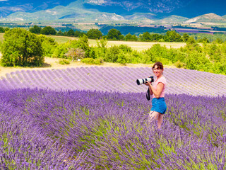 Wall Mural - Woman take photo on lavender field, Provence France