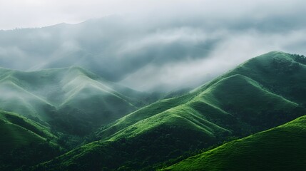 Wall Mural - Misty Mountains with Rolling Green Hills and Soft Tranquil Light