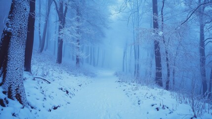 Wall Mural - snowy forest path