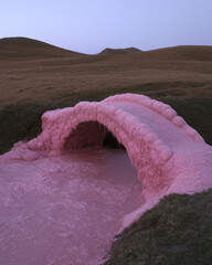 Wall Mural - Pink Bridge.