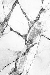 Canvas Print - Marble Floor