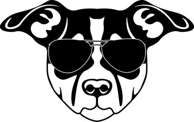 Wall Mural - Danish Swedish Farmdog In Sunglasses