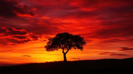 Wall Mural - Silhouette of a Tree Against a Vibrant Sunset Sky