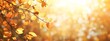 © Francesca - Autumn background with blurred golden leaves and sunlight. Background banner for the autumn season, a nature concept.