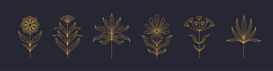 Wall Mural - set of boho simple geometric branch and flowers. botanic design elements in wavy and vintage style. 