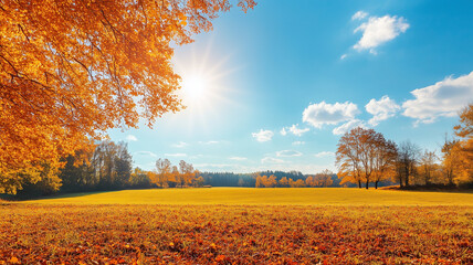 wonderful landscape during autumn, sunny rural panoramic view. countryside scenery. typical autumn c