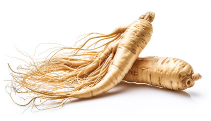 ginseng isolated on white background