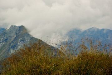 Wall Mural - view of an amazing mountain landscape on a hazy day with gray clouds and fog over the peaks in autum