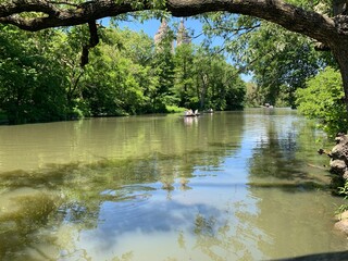 lake in the park