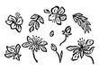 © akini - Set of abstract inky jungle flowers sketches isolated on white. Black silhouettes of hand drawn doodle florals. Botanical monochrome illustrations bundle