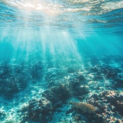 Wall Mural - Underwater Coral Reef with Sunbeams and Blue Water