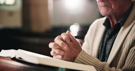 Wall Mural - Bible, prayer and hands of old man in church with faith, gratitude or spiritual respect in meditation. Praise, religion and elderly person in chapel with book for morning service, worship and peace