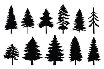 Poster - silhouette pines trees collections.vector illustration