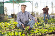 © JackF - Hardworking mature female farmer shaping soil, removing weeds with little hoe during season of sowing on sunny day in April