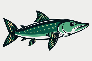 A pike fish vector illustration 
