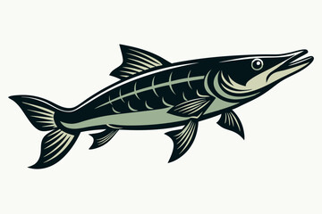 A pike fish vector illustration 
