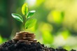 © lertsakwiman - A green plant grows from a pile of coins, symbolizing growth and investment in a sustainable future.