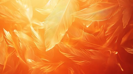   Close-up of a vibrant orange background with numerous feathers in the foreground