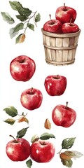 Wall Mural - Watercolor paper texture sticker design pastel colors simple lines basket of fresh apples golden and red apples autumn harvest theme natural light and shadows yellow red green palette