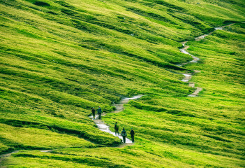 hiking path on the green grass of the Feroe island to Trælanípa