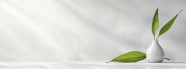 Sticker -  Two white vases, each bearing a single emergent green leaf from their sides