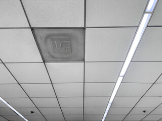 Wall Mural - Ceiling tiles with modern lighting fixtures create clean, professional atmosphere.