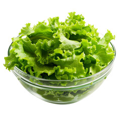 Canvas Print - Chopped lettuce filled in bowl on isolated transparent background