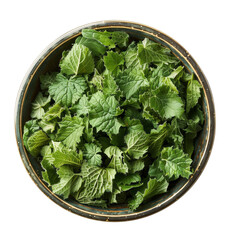 Canvas Print - Chopped nettles filled in bowl on isolated transparent background