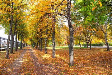 Leinwandbilder - Calm fall season. Beautiful landscape with linden alley in autumn park. Lindens trees with green, yellow and orange leaves and footpath in the town park in sunny day