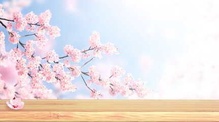 Aufkleber - Horizontal banner with sakura flowers of pink color and wood terrace flooring on sunny backdrop. Blank wooden table top on spring background with blooming sakura. Sakura blossoming season in Japan
