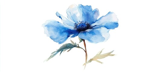 Poster - Watercolor illustration of a single blue flower on a white background