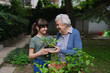 © Halfpoint - Grandmother teaching granddaughter to work in garden. Girl helping elderly grandma with plants, herbs and vegetables in garden, spending free summer time outdoor.