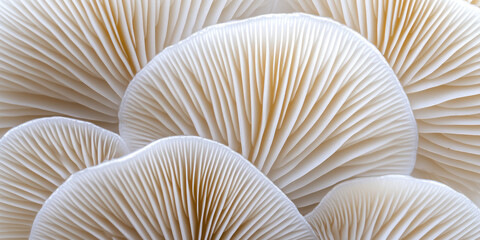 Macro closeup of mushroom texture. Natural design texture pattern concept for web, beautiful abstract background