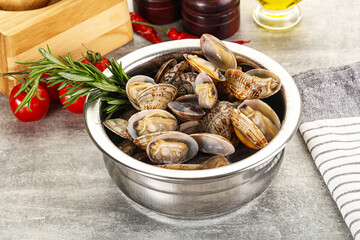 Raw vongole clams for cooking