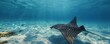 © AlexeyAdob4 - Spotted eagle ray gliding near ocean floor, 4K hyperrealistic photo