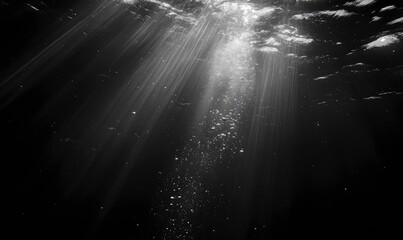 An undersea landscape with a black background and white light beaming down from the top-left corner