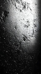 Wall Mural - Black and white photo of a textured surface.