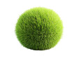 © Asier - Green grass sphere on a white background. PNG transparent.