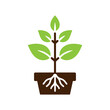 © Riki - Plant in flower pot icon