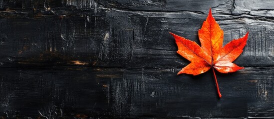 Wall Mural - AUTUMN LEAF ON A BLACK WOOD PAINTED BACKGROUND AUTUMN HUES. with copy space image. Place for adding text or design