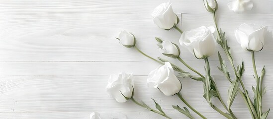 Poster - Lovely eustoma flowers on a white wooden surface. with copy space image. Place for adding text or design