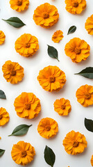 Wall Mural - Yellow Flowers and Green Leaves Flatlay on a White Background.