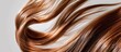© vxnaghiyev - Close up of a ponytail with loose down Caucasian hair type viewed from the back set against a white background Straight long light brown healthy and clean hairstyle Shampoo concept Various hairstylin