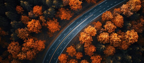 Aufkleber - Aerial perspective of a highway surrounded by autumn foliage in the forest. with copy space image. Place for adding text or design