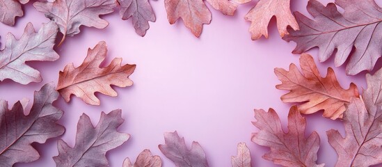 Fototapete - Dry oak leaves in autumn on a lilac pink lavender background Autumn arrangement flat lay top view copyspace