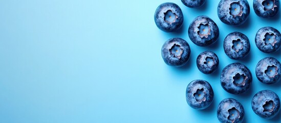 Perfectly ripe freshly picked local blueberries Close up copyspace for text top view background Healthy vegan snacks rich in antioxidants Seasonal summer berries