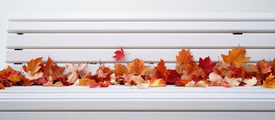 Aufkleber - Fallen autumn leaves rest on a white bench Autumn theme. with copy space image. Place for adding text or design