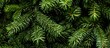 © vxnaghiyev - Green spruce branches set against a wooden background. with copy space image. Place for adding text or design
