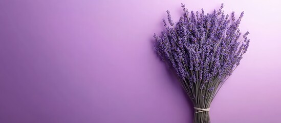 Poster - Bouquet of dried lavender resting on a violet lavender backdrop copy space