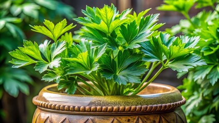 a photo image of a close-up of a lush, green lovage plant blooming in a ceramic planter with ornate design